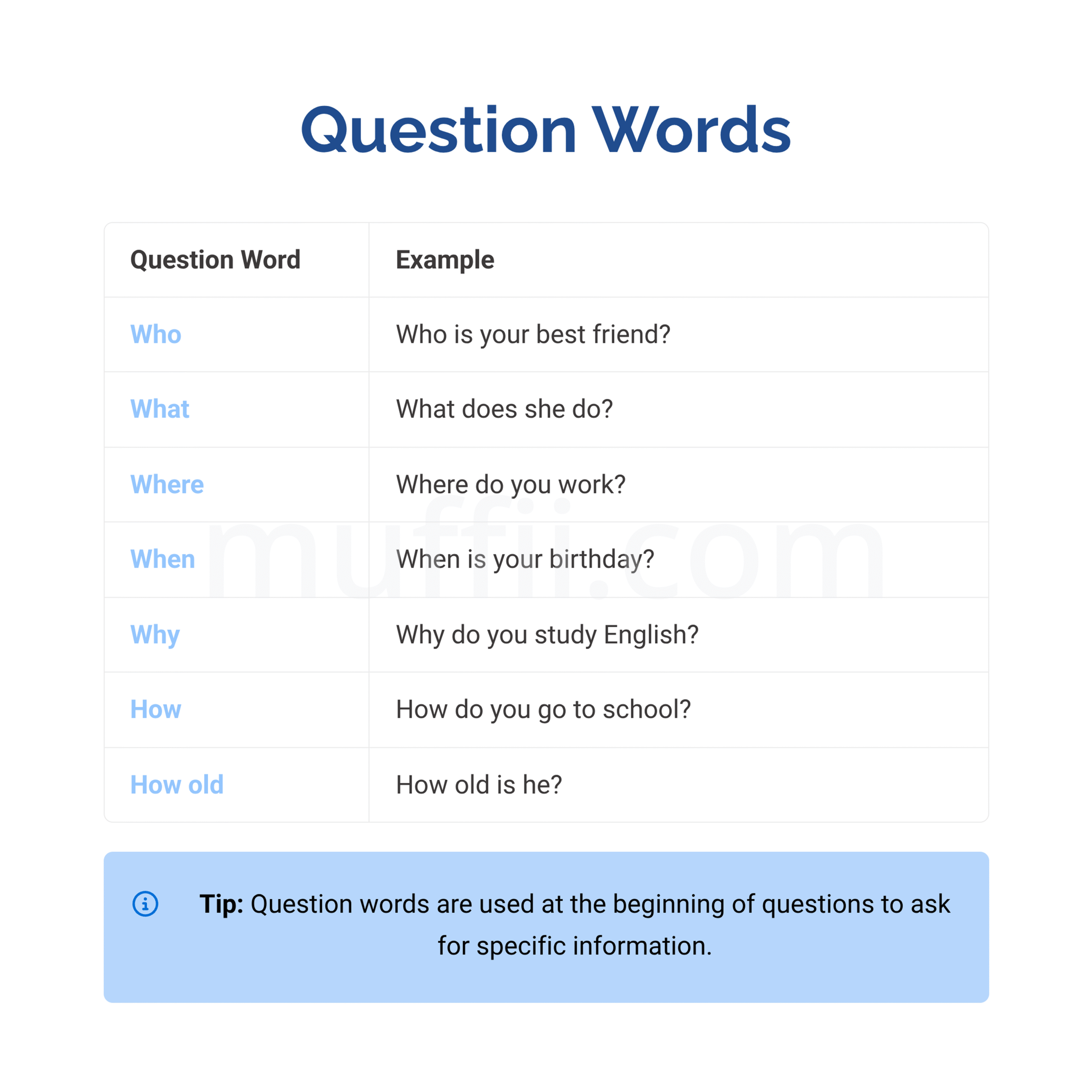 Question words – who, what, where, when, why