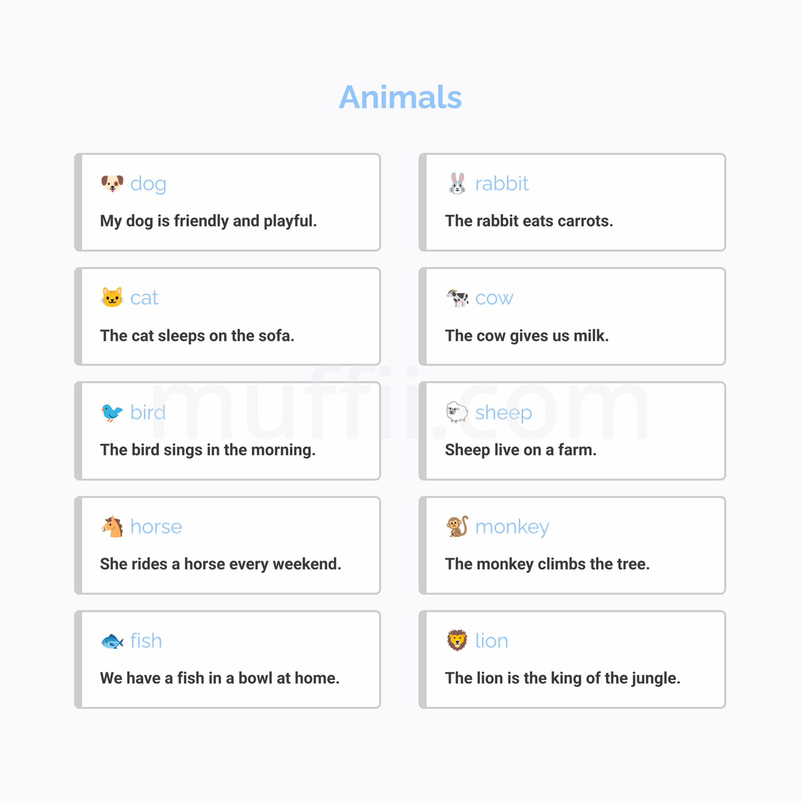 A1 Animals vocabulary exercises