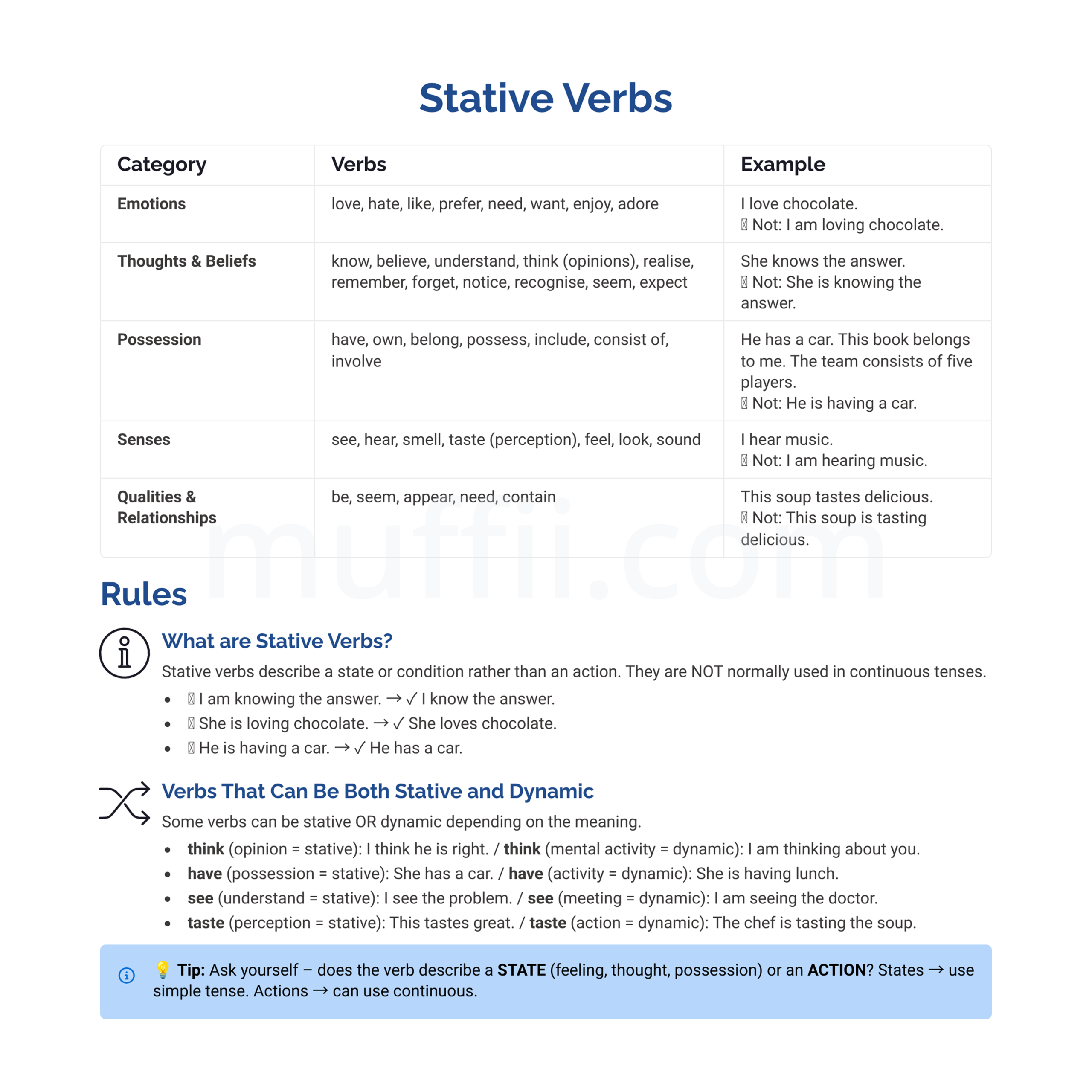 B1 State verbs grammar exercises