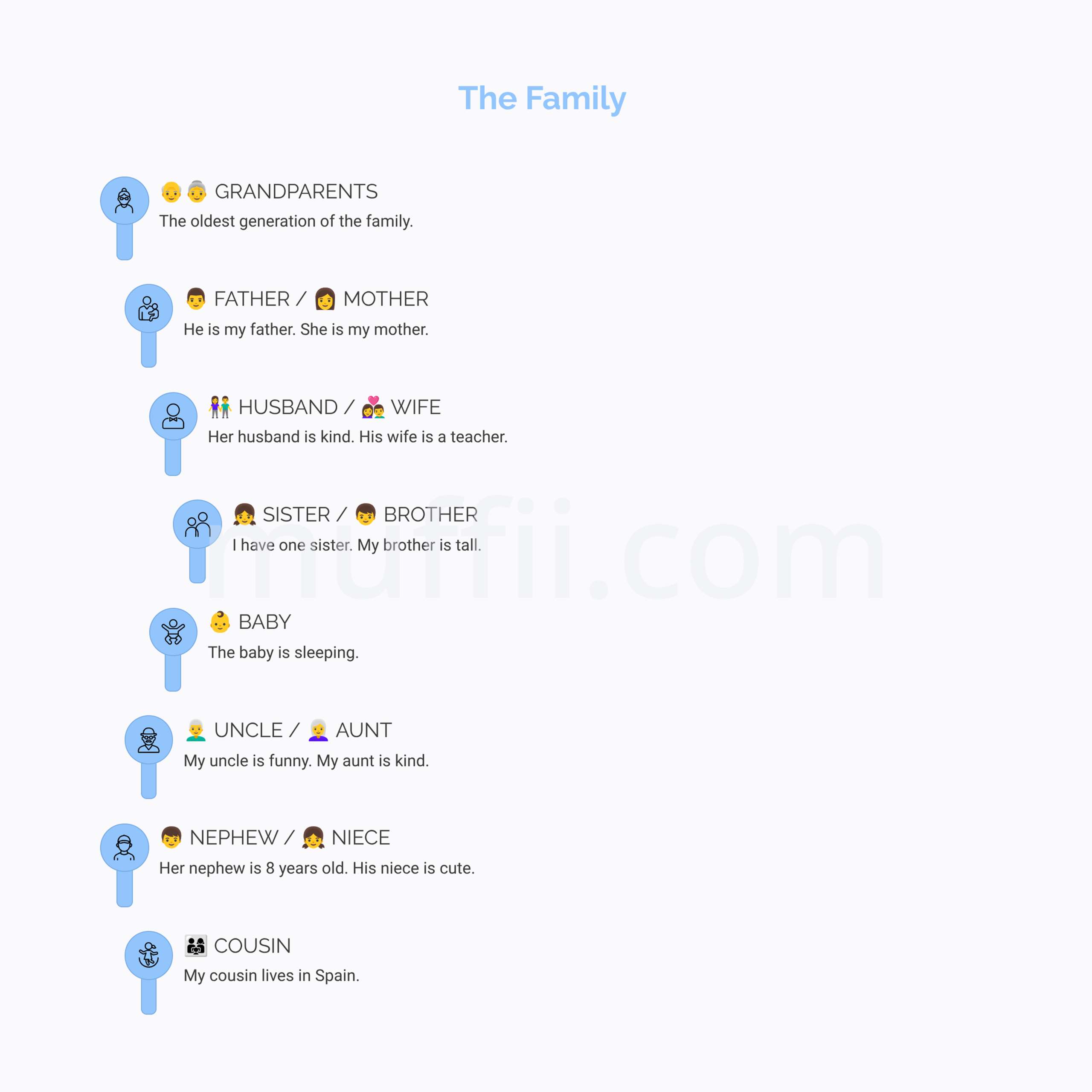 A1 The family vocabulary exercises