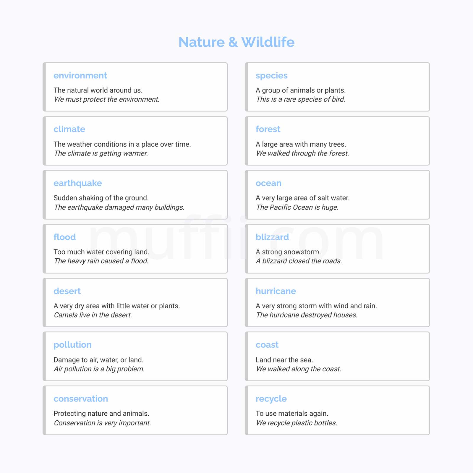 B1 Nature and Wildlife vocabulary exercises