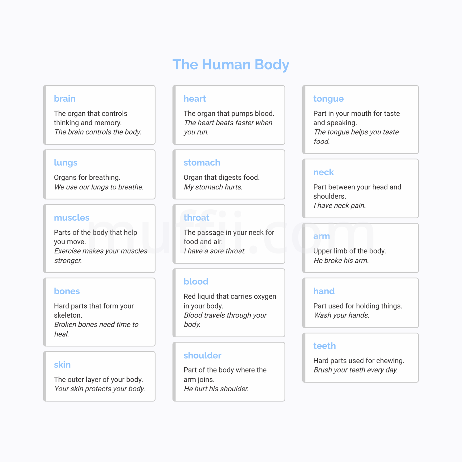 B1 The human body vocabulary exercises